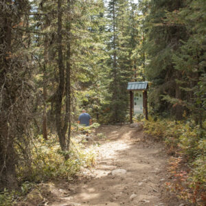Article Cover - Start of the 100 Acre Wood Trail in Rossland, surrounded by tall cedars and fresh spring greenery.