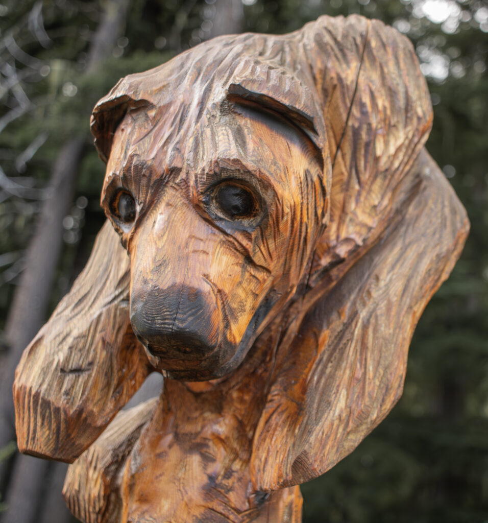 Detailed view of the hand-carved bench featuring local Rossland residents along a popular spring hiking trail.