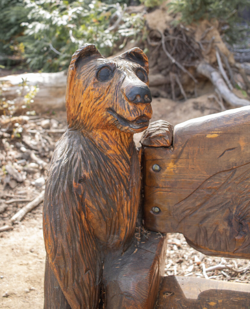 Resting spot on Rossland’s 100 Acre Wood Trail with a unique wooden bench honouring community members.