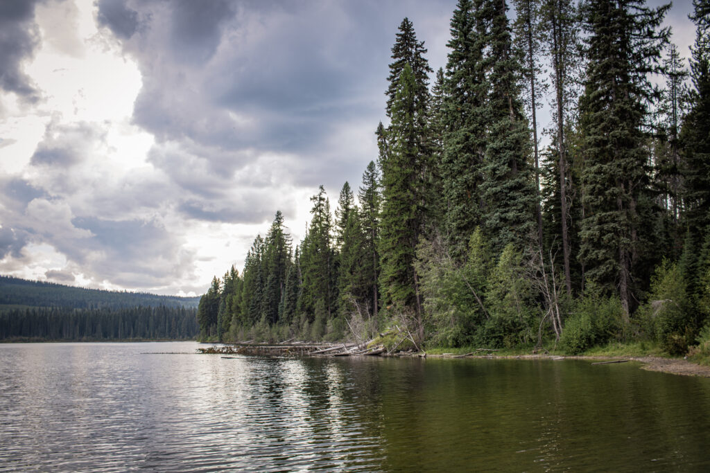 View from the rocky shoreline, showing calm waters and tall evergreen trees reflecting on the surface.