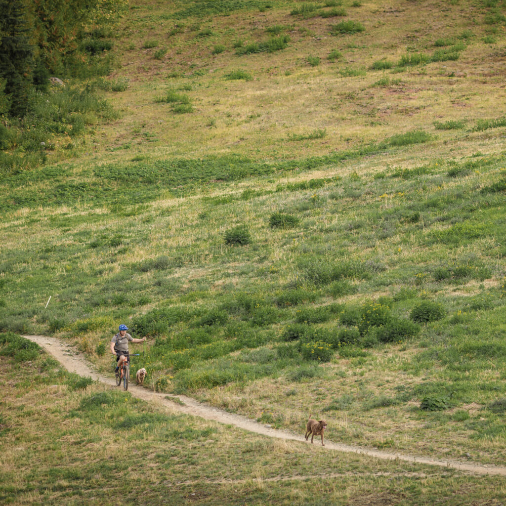 Rossland BC Landing Page - Mountain Biking with dogs